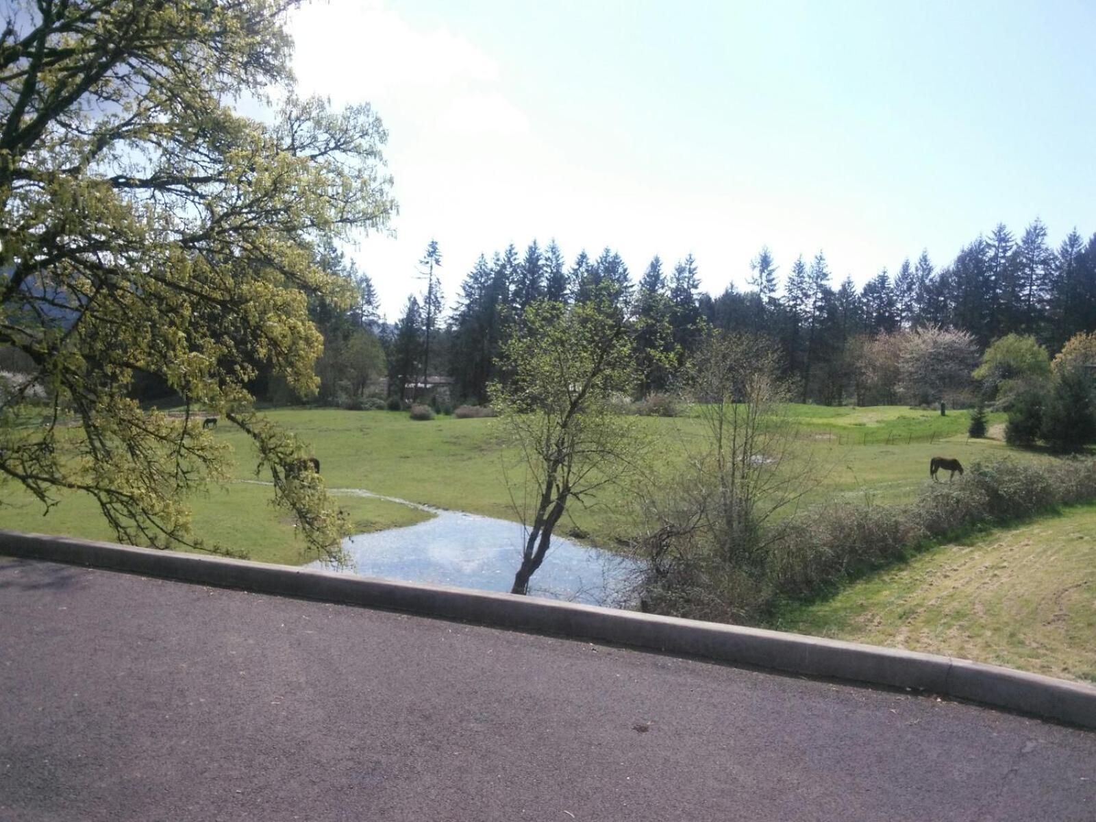 Vancouver Wa Beautiful Apartment Woodland Buitenkant foto