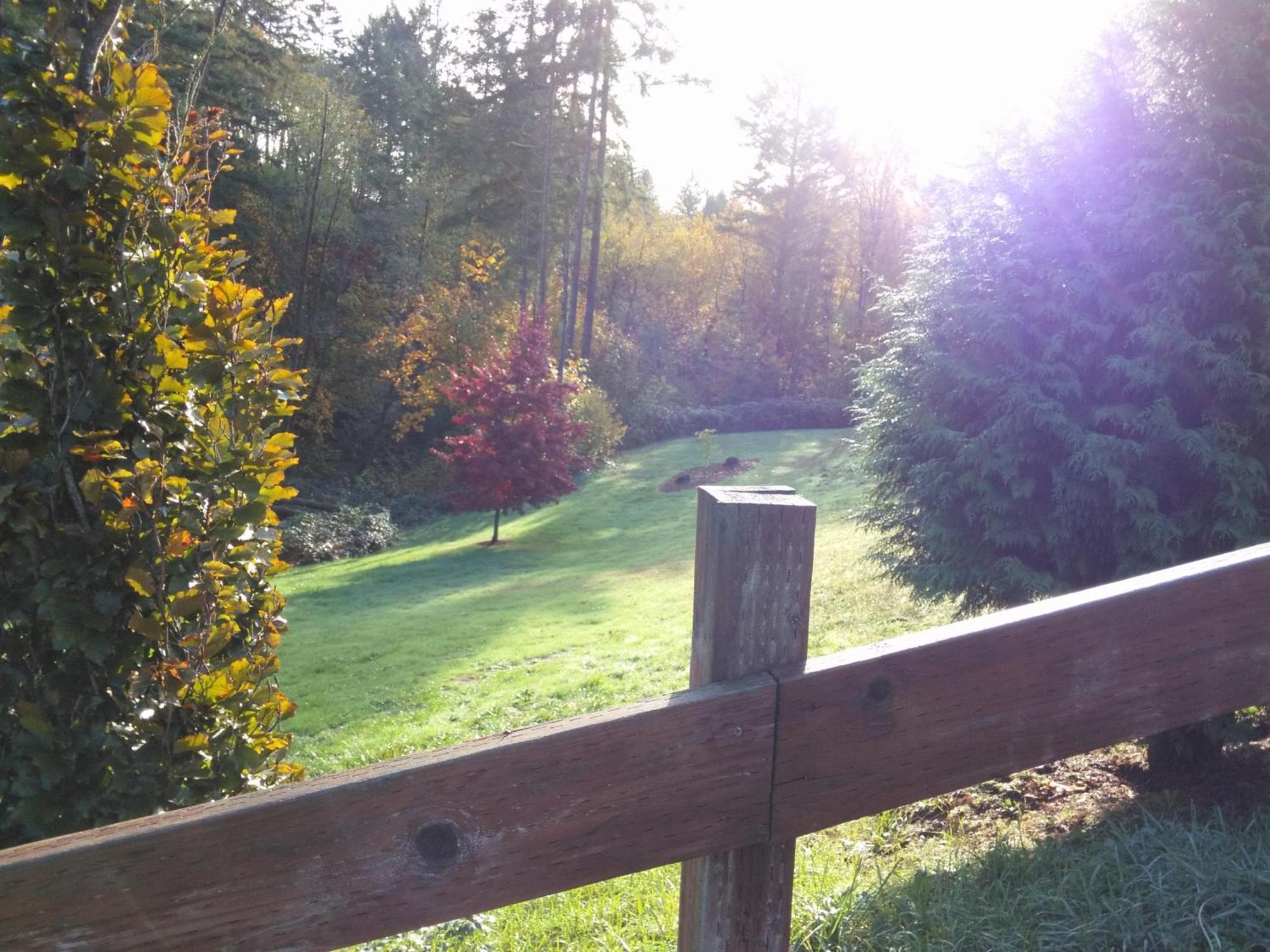 Vancouver Wa Beautiful Apartment Woodland Buitenkant foto